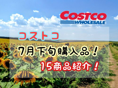 【2020年7月下旬】コストコ購入品15品を紹介！お買い物リストの参考に！